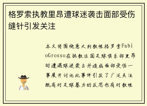 格罗索执教里昂遭球迷袭击面部受伤缝针引发关注 格罗索执教里昂遭球迷袭击面部受伤缝针引发关注